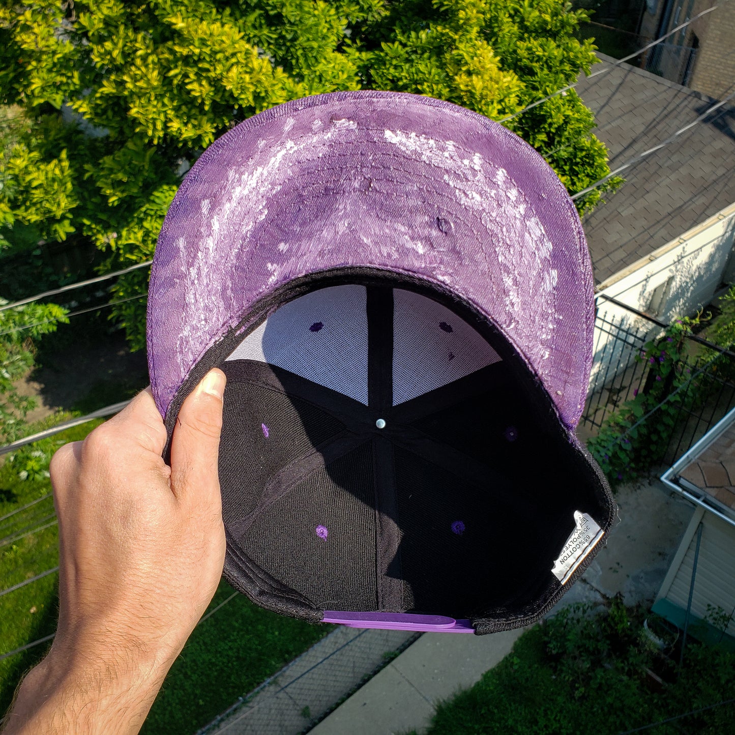 BioCap.001