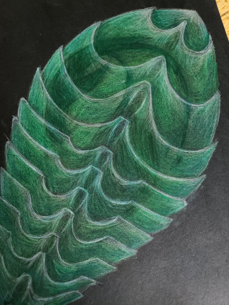 Reef.Egg.02
