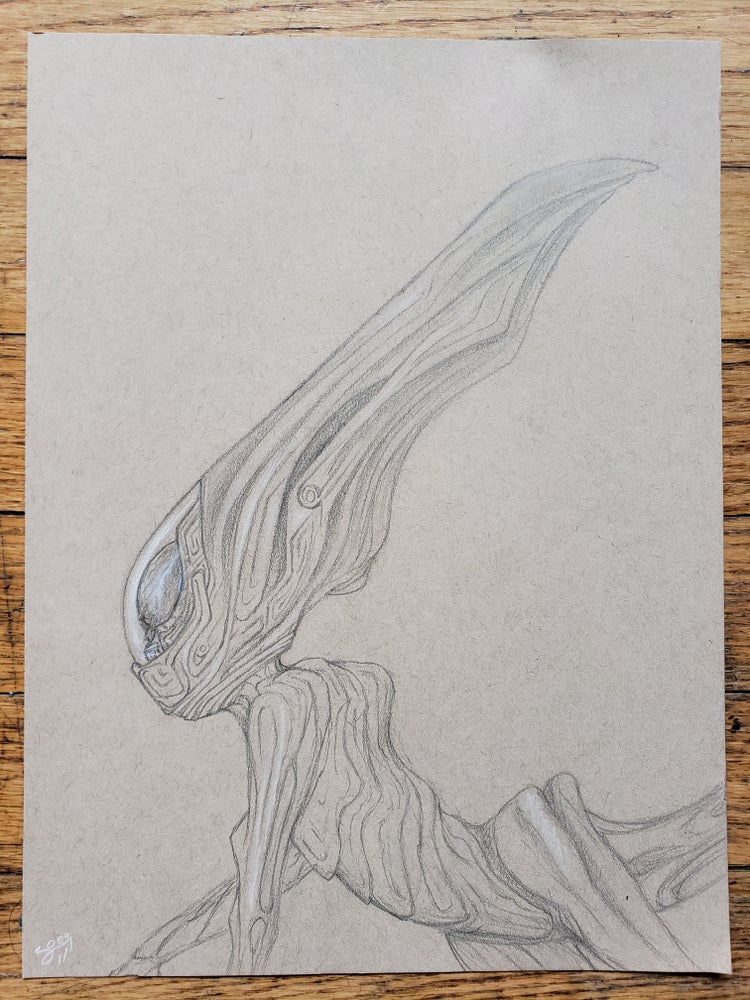 "Looking" Sketch