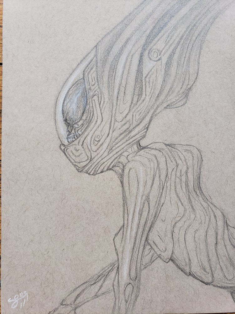 "Looking" Sketch