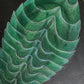 Reef.Egg.02