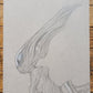 "Looking" Sketch