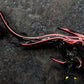 Palucursor "Stealth V0"