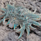 Cody Isbill’s GODHELM Pin Leftovers